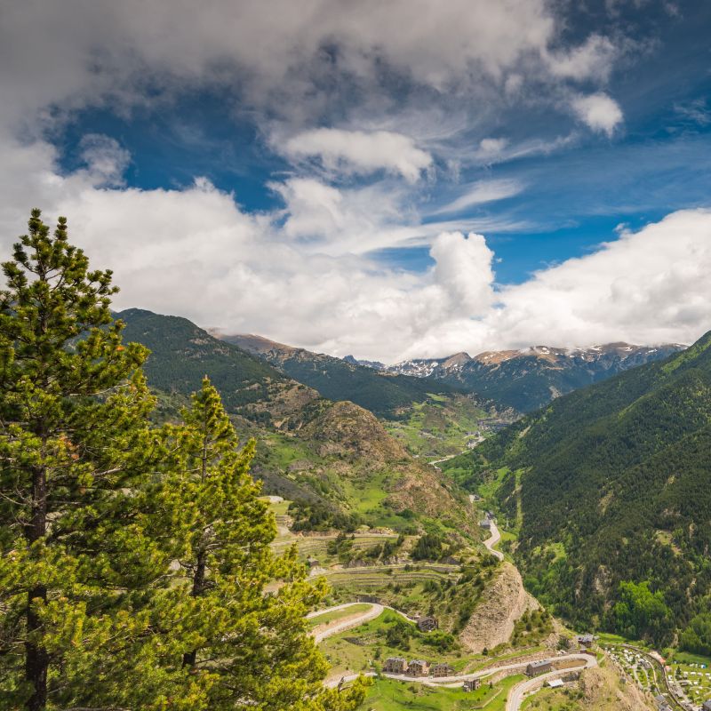 Montagna con vegetazione autunnale