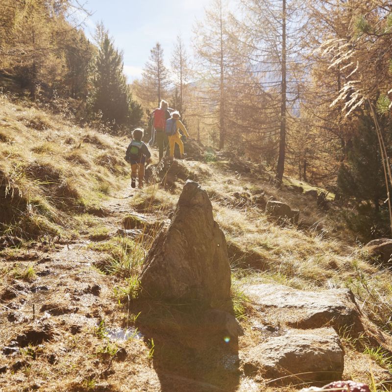 Sentiero escursionistico in montagna